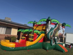 Trex Combo Jumper