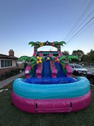 dual20lane20flower 1753497475 16ft Aloha Falls Dual Lane Waterslide
